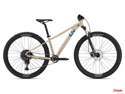 Giant Rower Liv Tempt 1 29 Sandshell