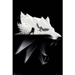 Wiedźmin The Witcher - plakat