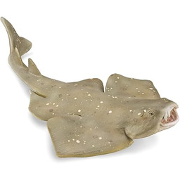 Collecta - Rekin Anioł - Figurka kolekcjonerska -