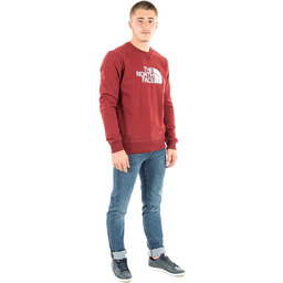 The North Face Męski Drew Peak Crew, taupe
