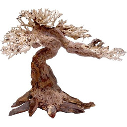 Amtra - Oriental Wind 5 drewno, ręcznie robione,