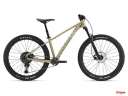 Giant Rower Liv Lurra 2 29 Bay Leaf