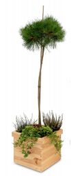 ČistéDřevo Drewniana kwadratowa doniczka 32 32 25 cm