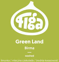 Kawa ziarnista Figa Coffee Birma Green Land Washed