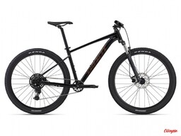 Giant Rower Talon 2 29 Metallic Black