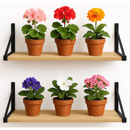 Elior 2 półki ścienne na kwiaty dąb sonoma