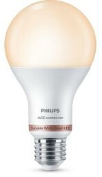 Philips E27 A67 13W (100 W) Żarówka LED