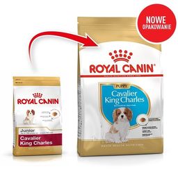 ROYAL CANIN Cavalier King Charles Spaniel Puppy 1,5kg