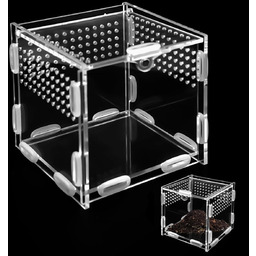 PUDEŁKO AKRYLOWE 10X10X10CM TERRARIUM PRZEZROCZYSTE DLA GADÓW PAJĄKÓW