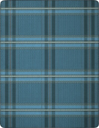 Biederlack Koc Nordic Check