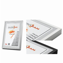 Rama Aluminiowa Alu P 20x20