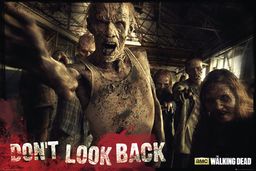 empireposter - Walking Dead, The - Zombies -