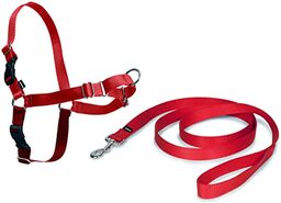 PetSafe Uprząż do łatwego chodzenia, szelki do chodzenia