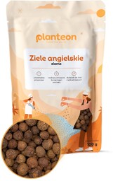 Ziele angielskie ziarno 10kg