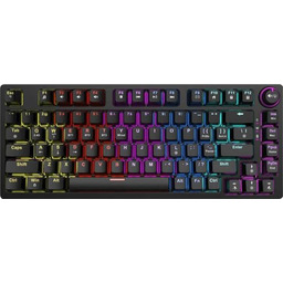 Savio Phenix Gateron Yellow Pro, Abs