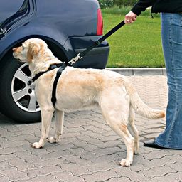 Pasy bezpieczeństwa dla psa z szelkami (trixie) -