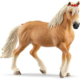 KLACZ RASY HAFLINGER
