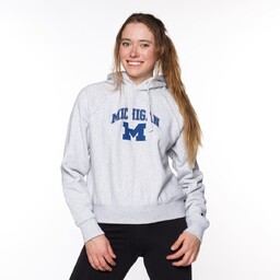 Champion Hooded Sweatshirt Grey - M