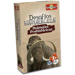 Bioviva - Historia zwierząt hiszpański, wielokolorowy (Asmodee Adebinc0018),