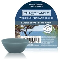 Yankee Candle Bayside Cedar Wax Melt Single Świeca