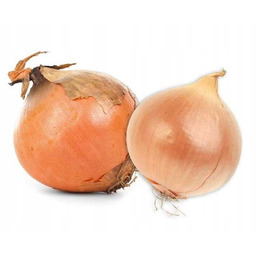 Cebula Polska 5 kg świeża i soczysta