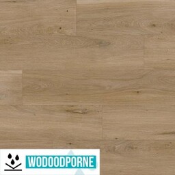 Panele winylowe SPC EPUFLOORING WOOD ARAGON KL 23-33