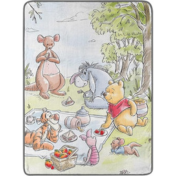 Northwest Kubuś Puchatek mikro raszlowy koc narzuta, 117