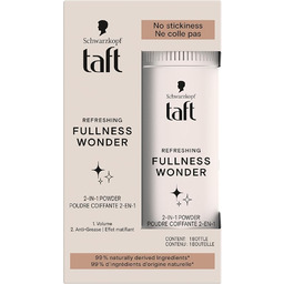 Schwarzkopf - TAFT - Puder do stylizacji włosów