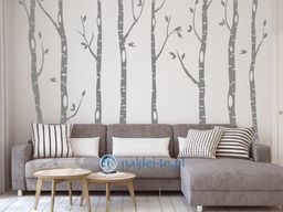 naklejka Brzozy 280 Naklejka na ścianę