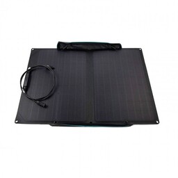 EcoFlow 110W