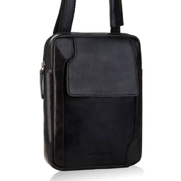 Listonoszka skórzana BETLEWSKI TBS-302 CZARNY