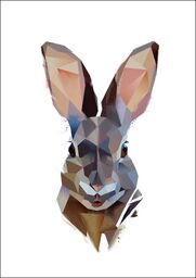 rabbit - plakat Wymiar do wyboru: 60x80 cm