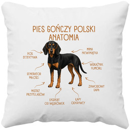 Anatomia Psa Gończego Polskiego - poduszka na prezent