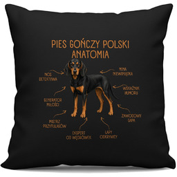 Anatomia Psa Gończego Polskiego - czarna poduszka