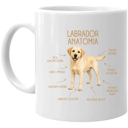 Anatomia Labradora - kubek na prezent dla miłośnika