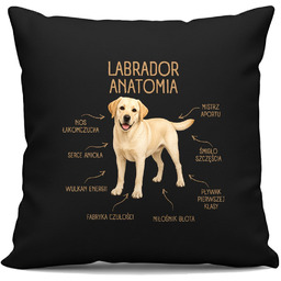 Anatomia Labradora - czarna poduszka na prezent
