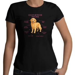 Anatomia Golden Retrievera - damska koszulka na prezent