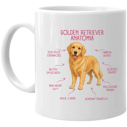 Anatomia Golden Retrievera - kubek na prezent