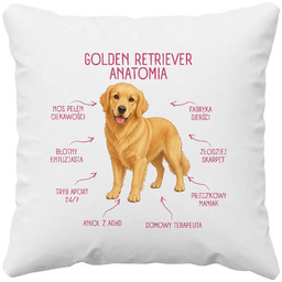 Anatomia Golden Retrievera - poduszka na prezent