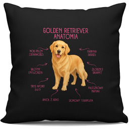 Anatomia Golden Retrievera - czarna poduszka na prezent