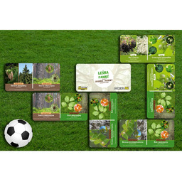 Domino XL - Leśna Pamięć (DRZEWA I KRZEWY