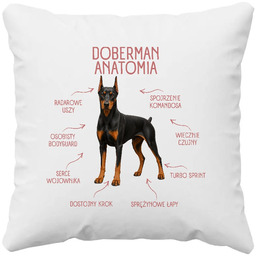Anatomia Dobermana - poduszka na prezent dla miłośnika