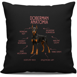 Anatomia Dobermana - czarna poduszka na prezent