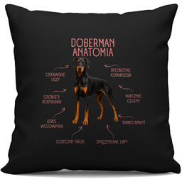 Anatomia Dobermana v2 - czarna poduszka na prezent