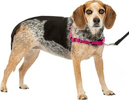PetSafe Uprząż dla psa Easy Walk.
