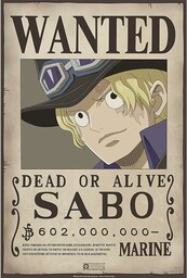 ABYstyle - One Piece - Plakat - Wanted
