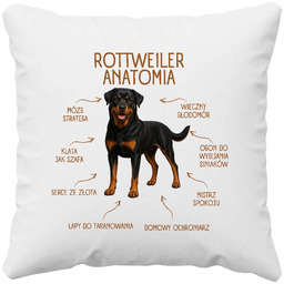 Anatomia Rottweilera - poduszka na prezent dla miłośnika