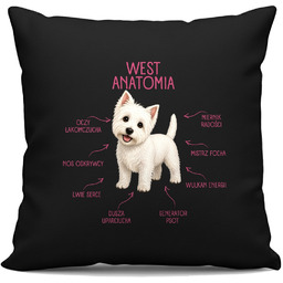 Anatomia Westa - czarna poduszka na prezent