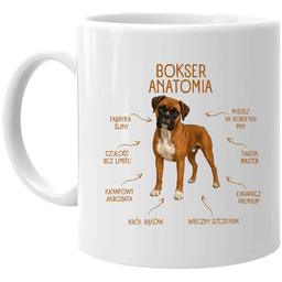 Anatomia Boksera - kubek na prezent dla miłośnika
