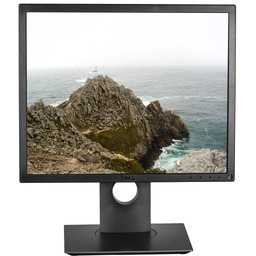 Dell P1917S - 60Hz 1280 x 1024 19''